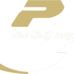 Logo RPX Logistic
